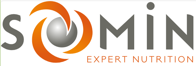 Logo SOMIN